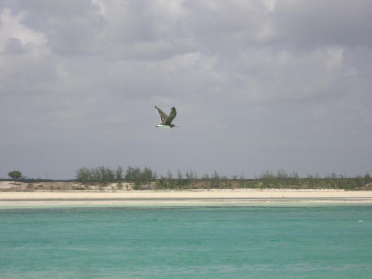 Chiky Villa Watamu Exterior foto